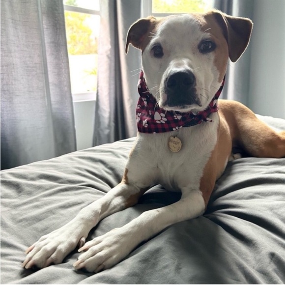 Reggie in Bowties | Monsters Inc. Disney Movie Print Bandana - Picture 7 of 11